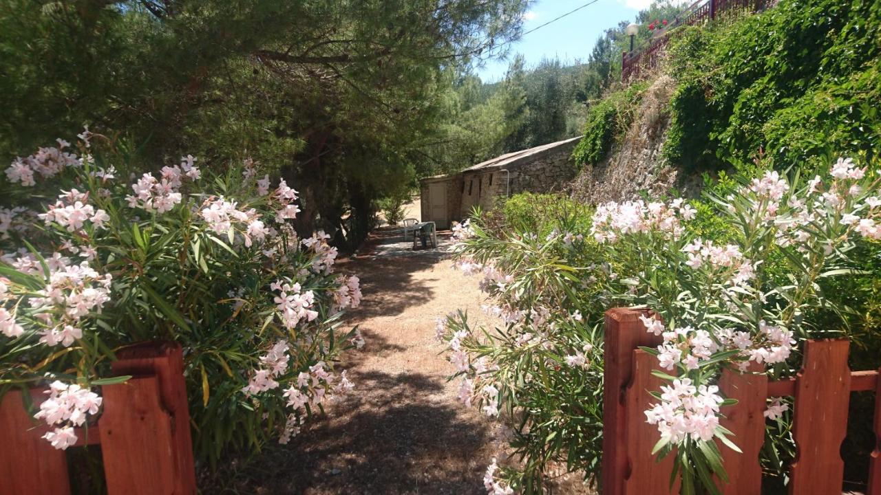 Residence Mattinatella 马蒂纳塔 外观 照片